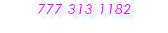&nbsp;777 313 1182 
