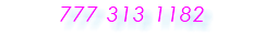 &nbsp;777 313 1182 